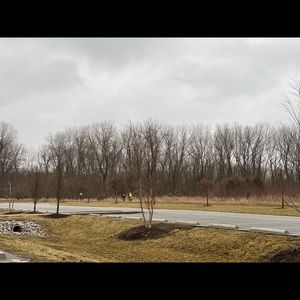 Meet your Posher, Roro